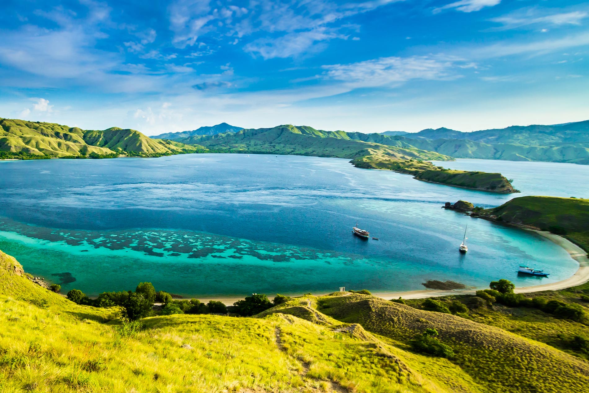 Komodo Landscape