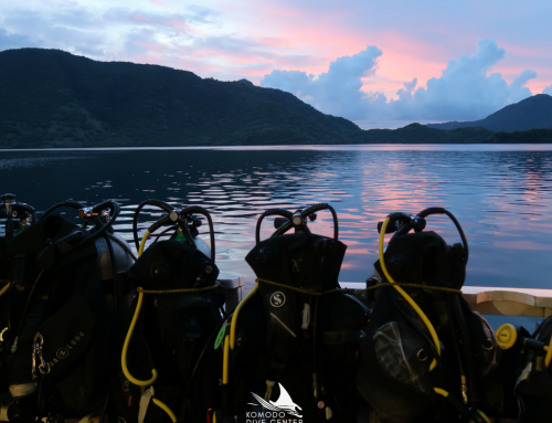 Scuba Gear Maintenance: How to clean and care for your Scuba gear correctly