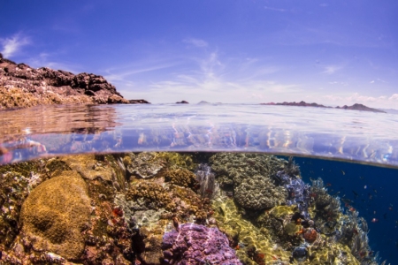 Komodo liveaboard dive sites - Batu Bolong