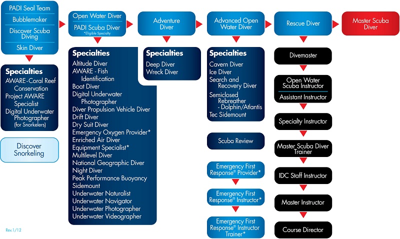 PADI Courses Ladder