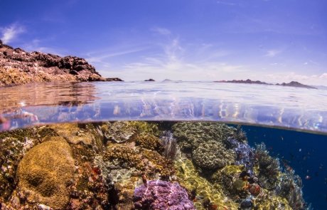 Dive Site Batu Bolong