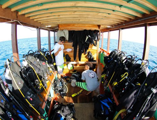 Diving Equipment Area Day Boat