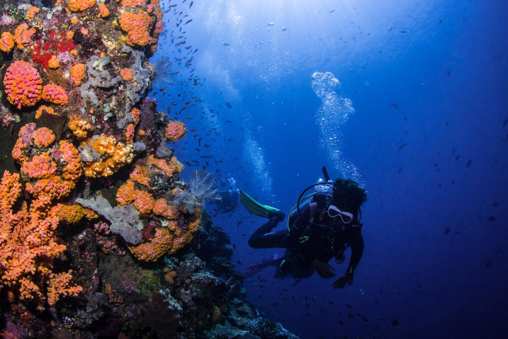 Diver in Batu Bolong, Komodo