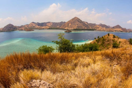 Komodo landscape
