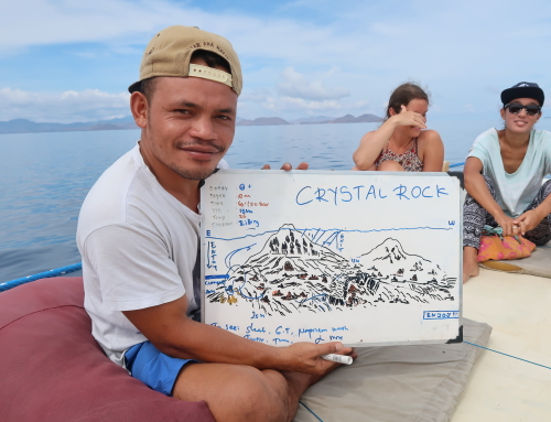 Komodo dive site SPOTLIGHT: Crystal Rock