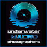 Underwater Macro Photographers